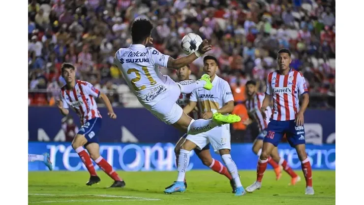 Foto: Pumas / Divulgação
