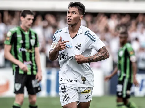Jornalista vem a público e desdenha da liderança do Santos no Campeonato Brasileiro