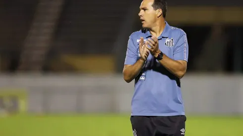 Foto: Pedro Ernesto Guerra Azevedo/Santos FC – Elder Campos quer equipe com os pés no chão para a sequência da competição