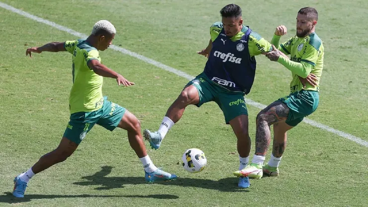 Foto: Cesar Greco\Palmeiras