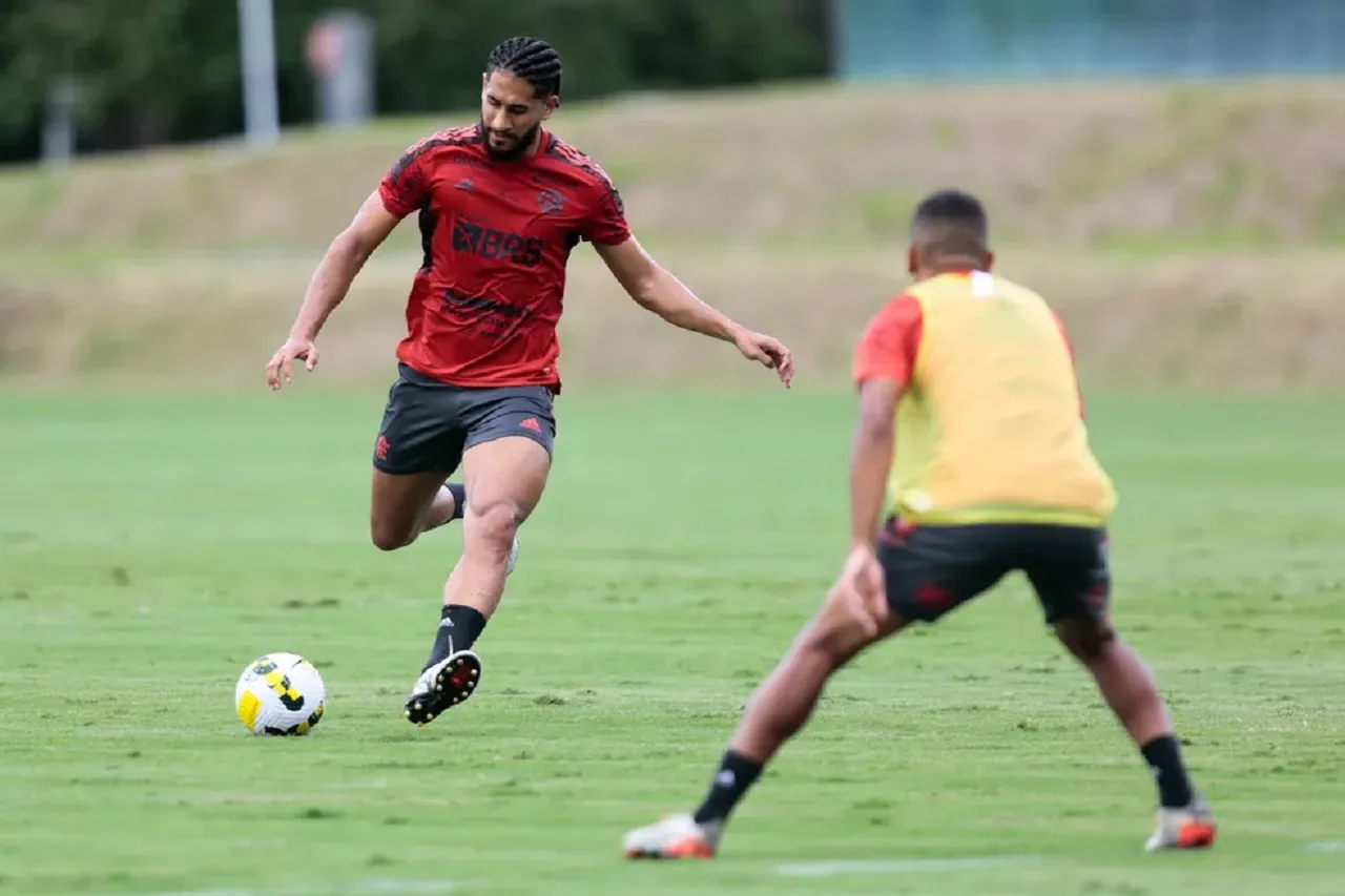 Foto: Gilvan de Souza/Flamengo