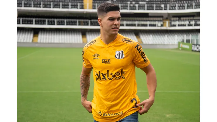 Foto: Ivan Storti/Santos FC - Fernandéz comenta decisão contra o Coritiba