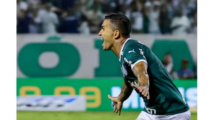 Foto: Marcello Zambrana/AGIF- Dudu é peça chave no esquema de Abel Ferreira