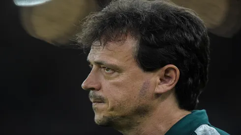 Thiago Ribeiro/AGIF – Fernando Diniz, técnico do Fluminense