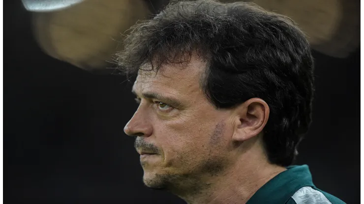 Thiago Ribeiro/AGIF - Fernando Diniz, técnico do Fluminense