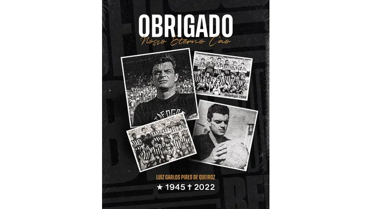 Divulgação/Botafogo - Homenagem do Botafogo ao ex-goleiro