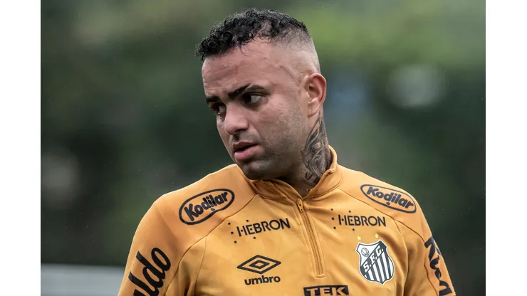 Foto: Ivan Storti/Santos FC - Rueda expõe salário de Luan no Santos