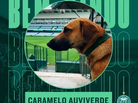 Coritiba ‘contrata’ cachorro caramelo e novo reforço ganha corações na web