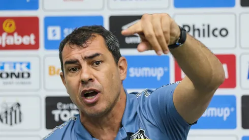Foto: Luiz Erbes/AGIF- Fábio Carille