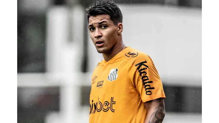 Foto: Flickr Santos- Atacante retomou seu bom momento