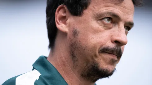 Jorge Rodrigues/AGIF- Fernando Diniz, técnico do Fluminense