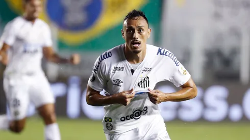 Photo by Sebastiao Moreira-Pool/Getty Images – Jornalista revela aonde Pituca deseja atuar