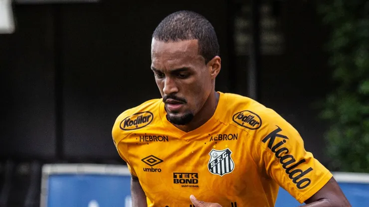 Foto: Bruno Santoni / Santos FC - Luiz Felipe interessa ao Cruzeiro