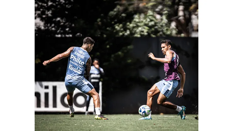 Foto: Raul Baretta/ Santos FC- Santos define planejamento no período sem jogos