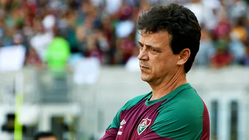FOTO DE MAILSON SANTANA/FLICKR/FLUMINENSE FC - Fernando Diniz se preocupa com situação de atleta.