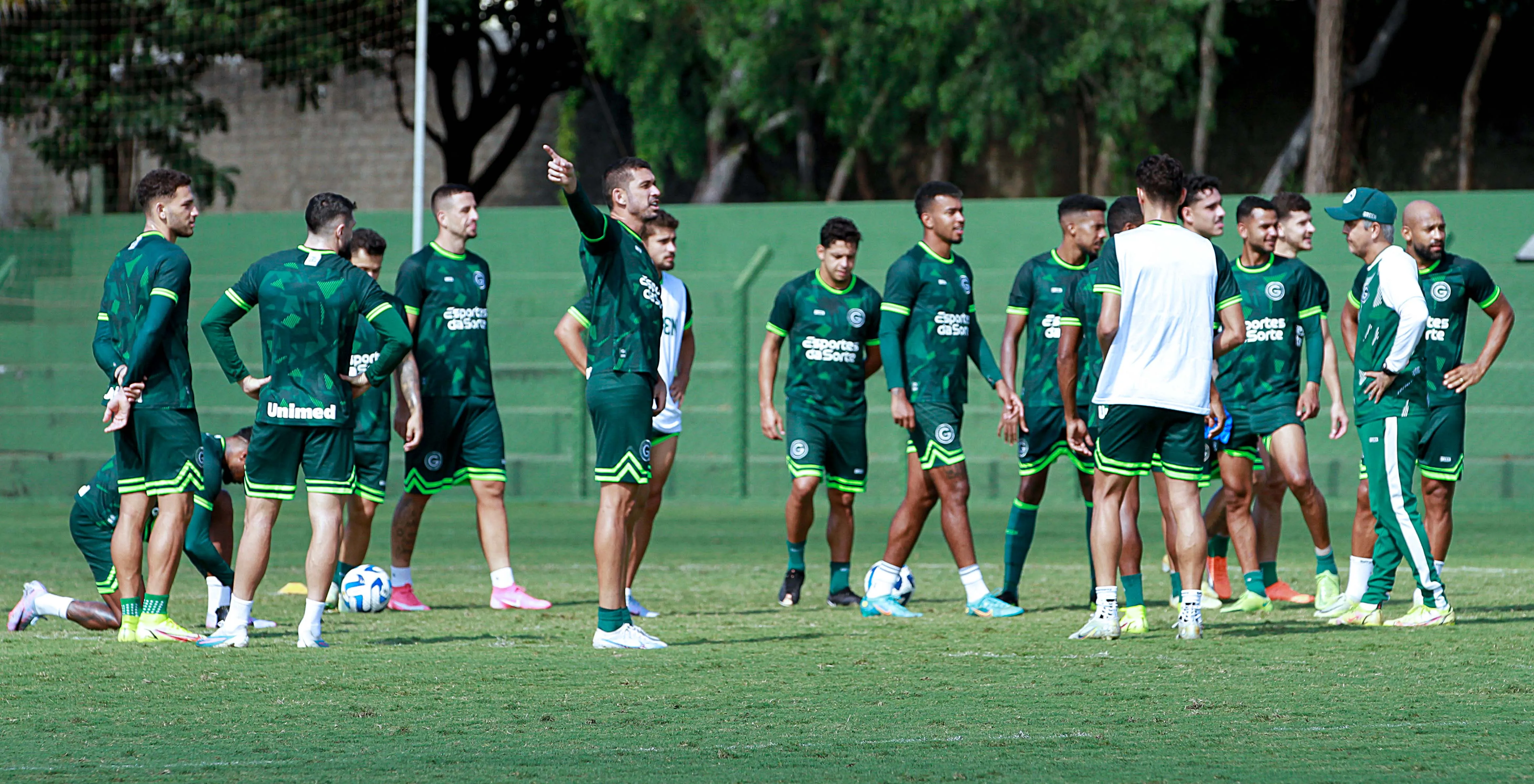 Foto: Rosiron Rodrigues/Goiás