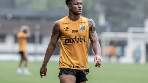 Foto: Ivan Storti/Santos FC - Santos encontra substituto para Marcos Leonardo.