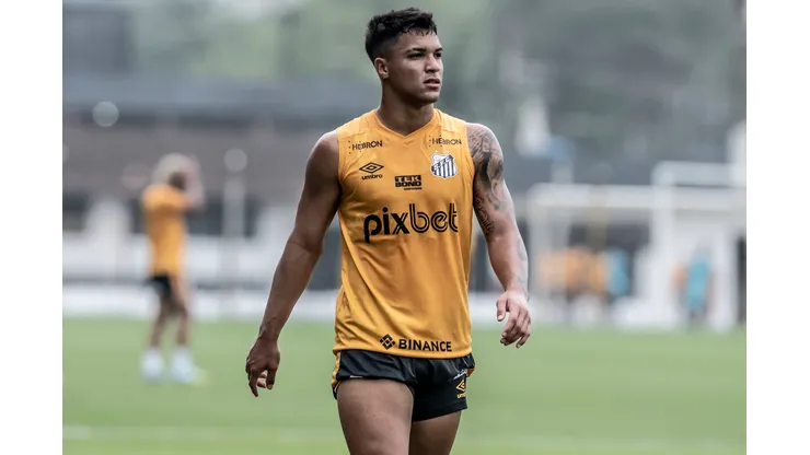 Foto: Ivan Storti/Santos FC - Santos encontra substituto para Marcos Leonardo.