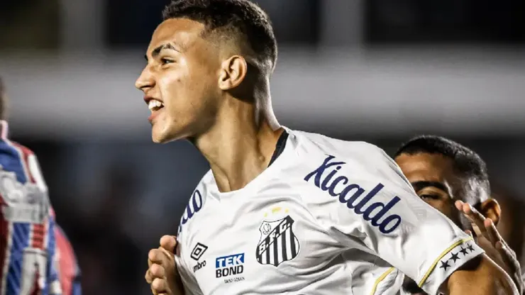 Foto: Raul Barettas/Santos FC