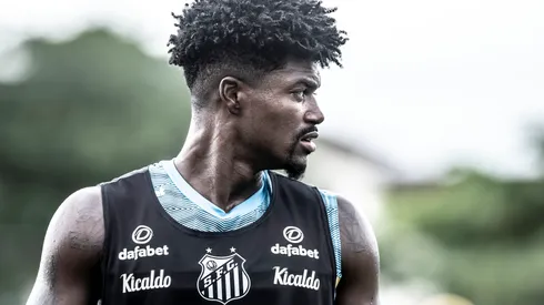 Foto: Ivan Storti/Santos FC – Santos toma decisão em meio a indefinição do caso Bauermann
