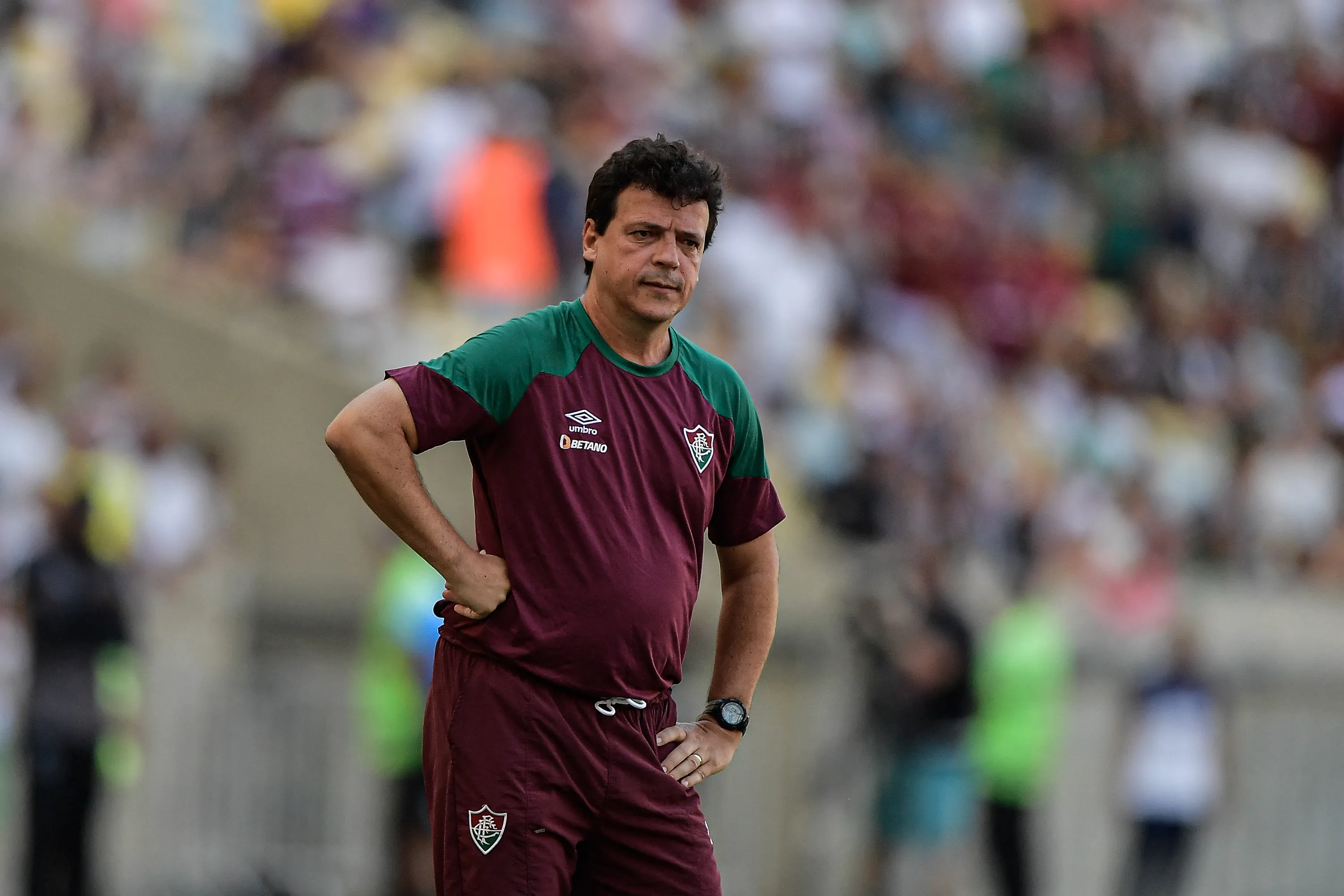 Foto: Thiago Ribeiro/AGIF – Fernando Diniz