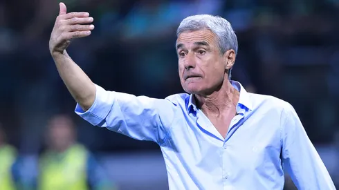 Foto: Ettore Chiereguini/AGIF – Luis Castro pode influenciar indiretamente na escolha do novo técnico no Vasco.