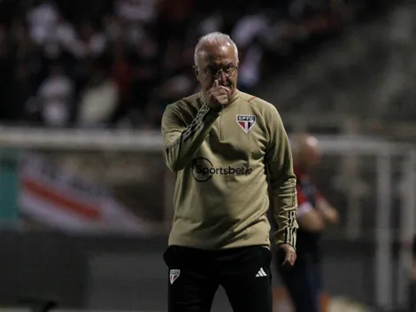 Crias de Cotia atraem interesse, mas apenas uma tem proposta oficial