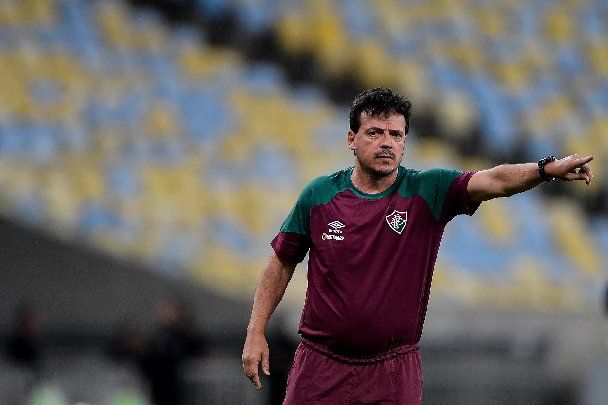 Foto: Thiago Ribeiro/AGIF – Fernando Diniz