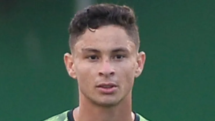 Situação de Diogo Barbosa é exposta no Fluminense e notícia chega a Diniz