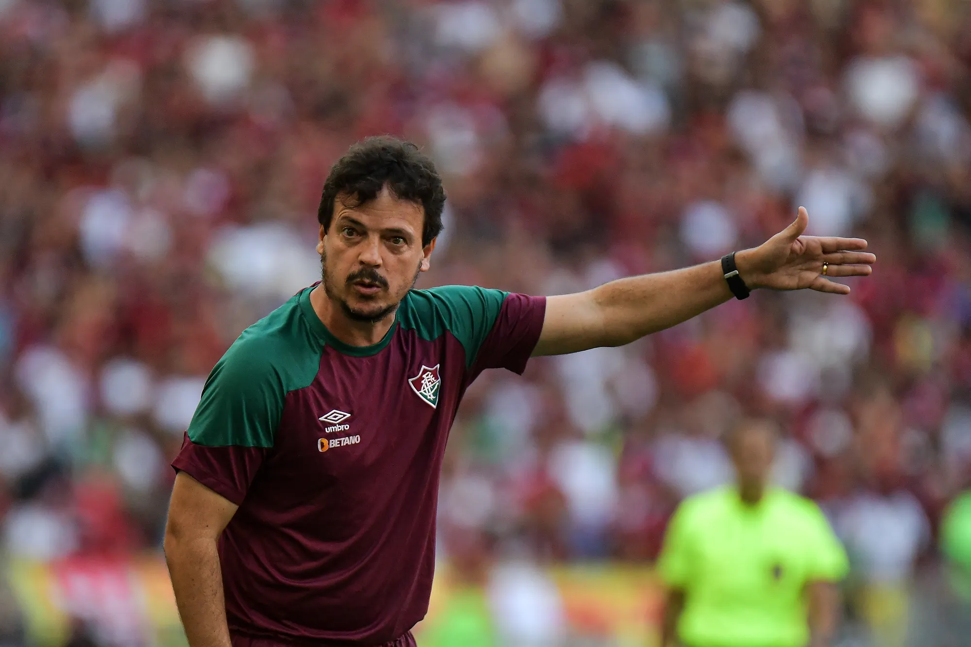 Foto: Thiago Ribeiro/AGIF – Fernando Diniz
