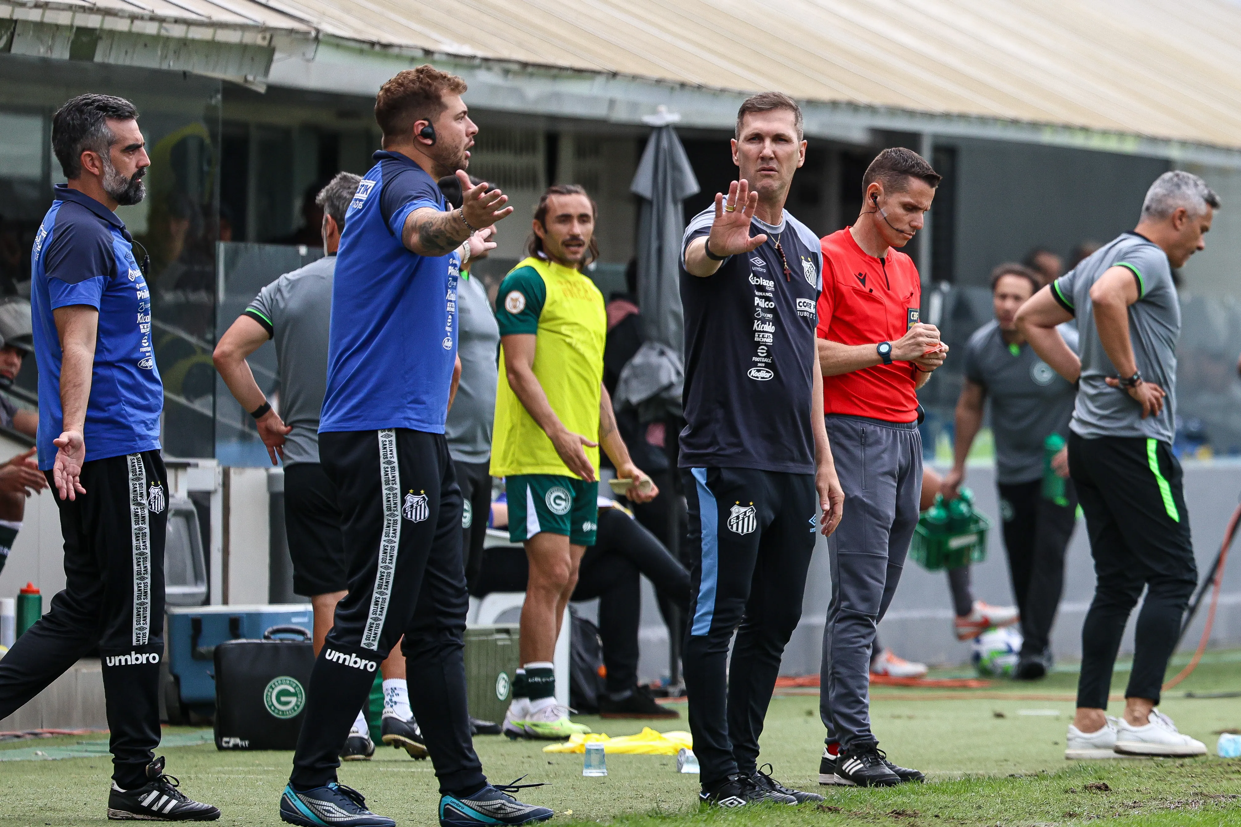 Foto: Fernanda Luz/AGIF