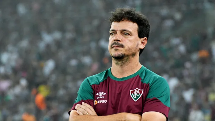 Foto: Mailson Santana/FLUMINENSE FC - Diniz é o novo interino da Seleção Brasileira