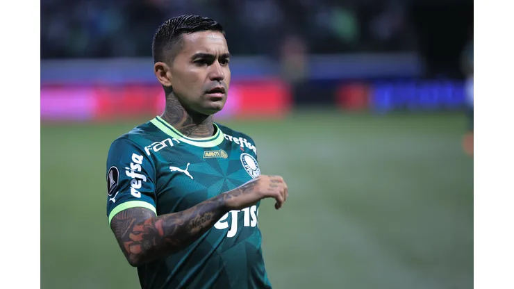 Foto: Ettore Chiereguini/AGIF - Situação de Dudu é atualizada no Palmeiras