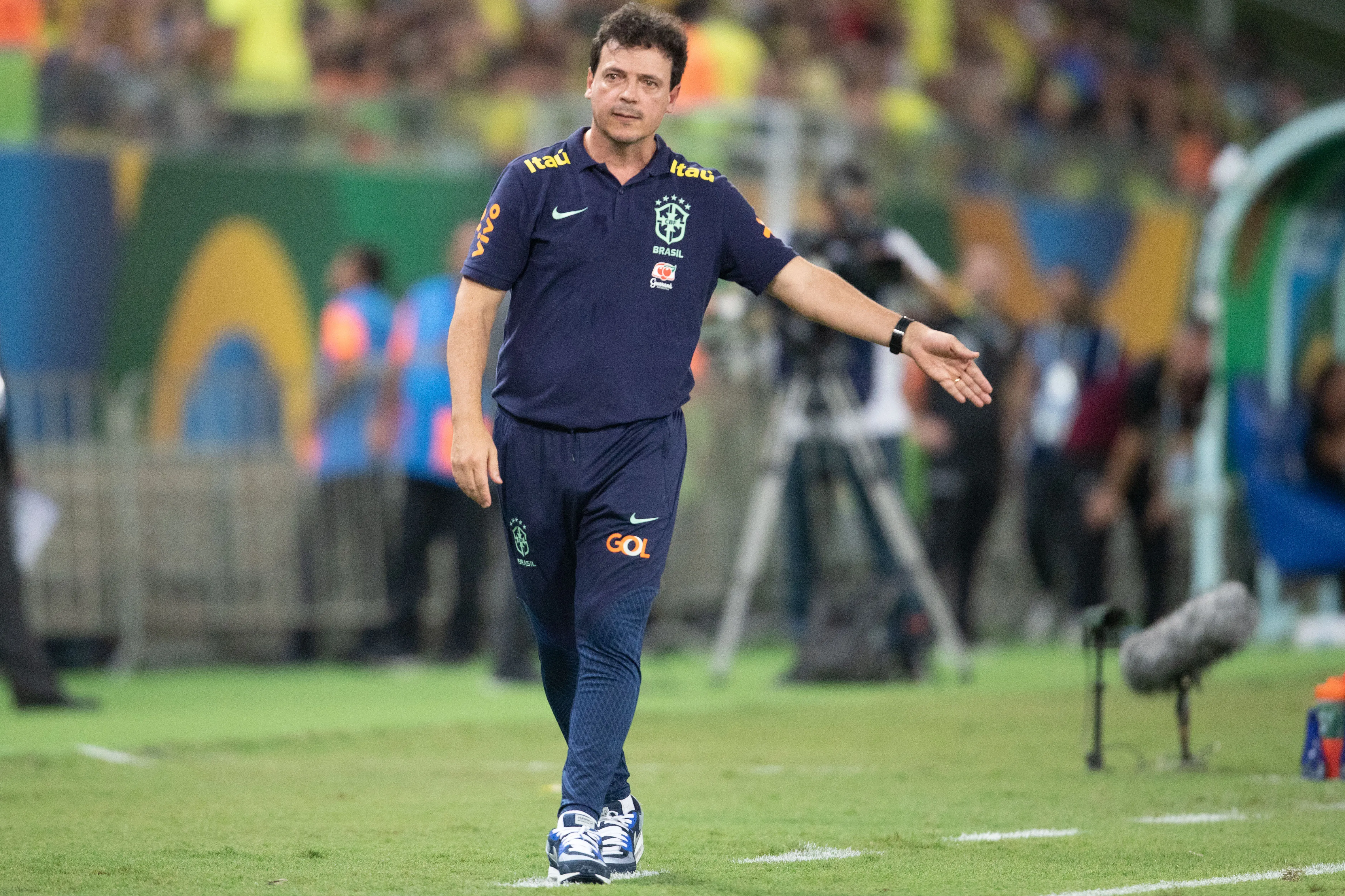 Foto: Gil Gomes/AGIF – Fernando Diniz
