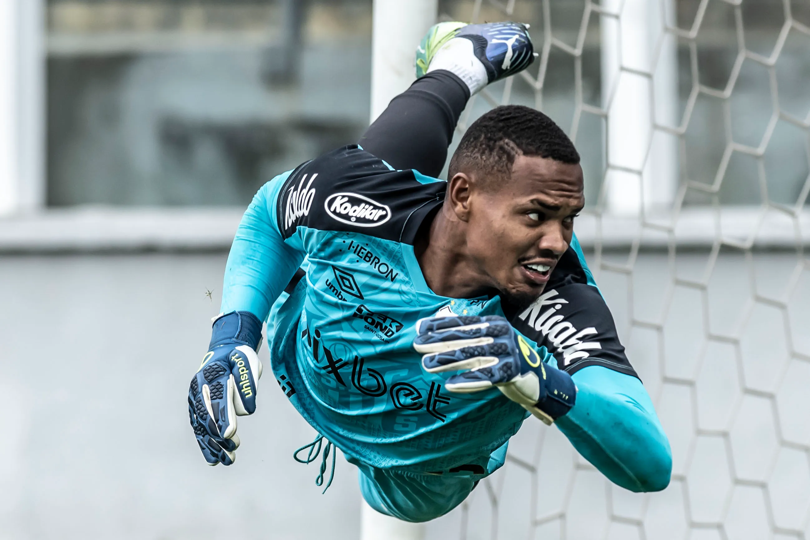 Foto: Ivan Storti/Santos FC/Flickr Santos