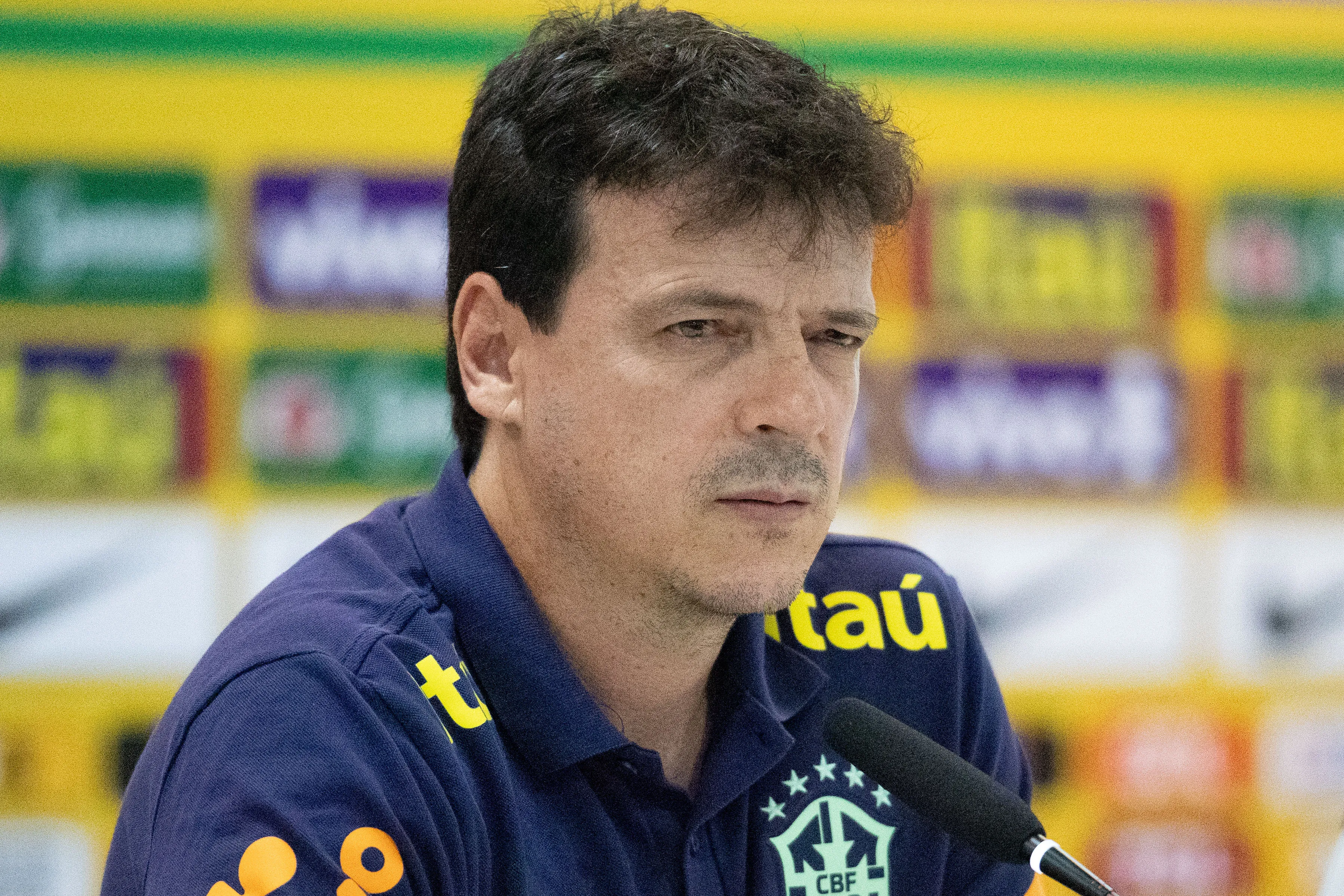 Fernando Diniz está comandando a Seleção de forma interina Foto: Gil Gomes/AGIF