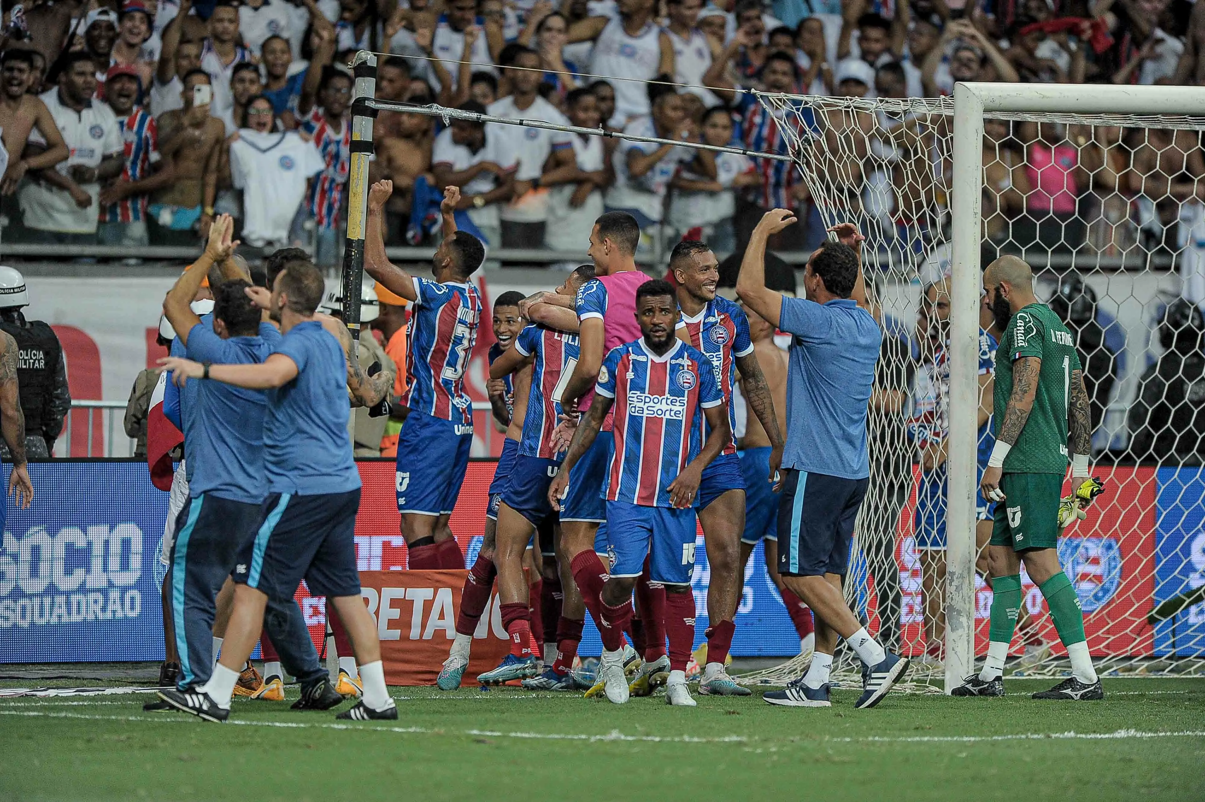 Jogadores do Bahia comemorando a permanência na Série A. Foto: Jhony Pinho/AGIF