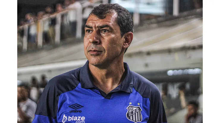 Fábio Carille, técnico do Santos. Foto: Reinaldo Campos/AGIF
