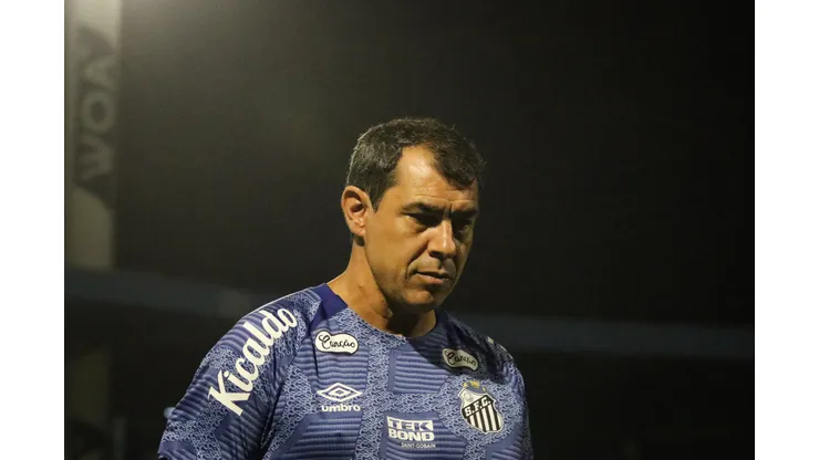 SC - FLORIANOPOLIS - 26/04/2024 - BRASILEIRO B 2024, AVAI X SANTOS - Fabio Carille tecnico do Santos durante partida contra o Avai no estadio Ressacada pelo campeonato Brasileiro B 2024. Foto: Leonardo Hubbe/AGIF