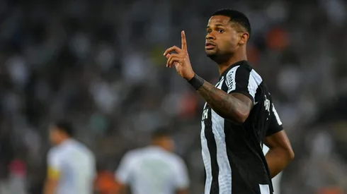 Júnior Santos é o destaque do Botafogo na temporada.