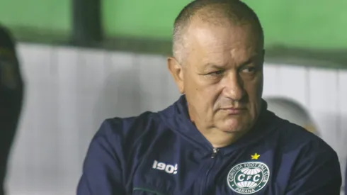 James Freitas técnico do Coritiba durante partida contra o Guarani no estadio Couto Pereira pelo campeonato Brasileiro B 2024.