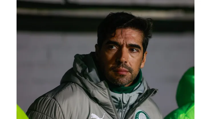 Abel Ferreira durante confronto contra o Grêmio no Brasileirão 2024.