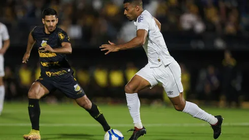 Santos e Novorizontino em campo