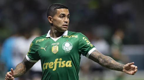 Dudu, jogador do Palmeiras, durante partida contra o Grêmio (Foto: Anderson Romao/AGIF)