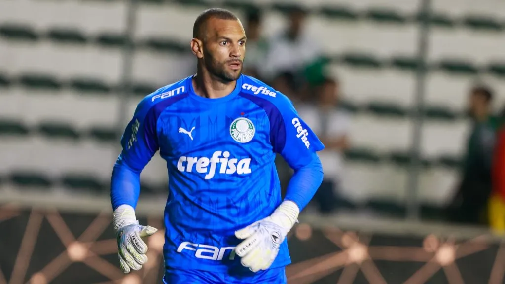 Weverton, goleiro do Palmeiras