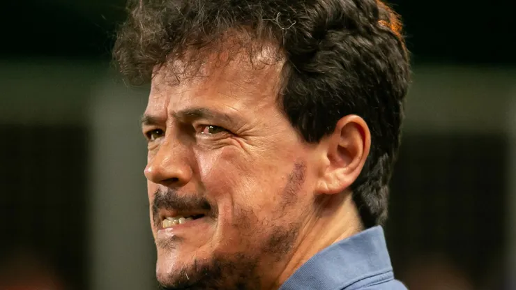 Fernando Diniz, treinador do Cruzeiro