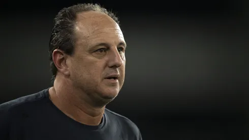 Rogerio Ceni, técnico do Bahia, durante partida contra o Botafogo (Foto: Jorge Rodrigues/AGIF)