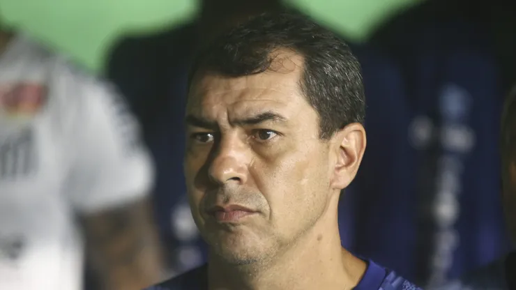 Fabio Carille, técnico do Santos, durante partida contra o Coritiba (Foto: Gabriel Machado/AGIF)