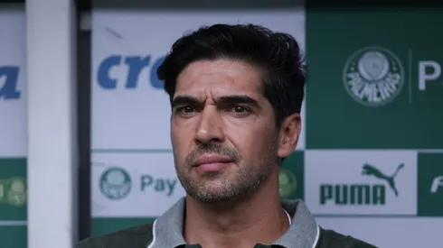 Abel irritou a torcida do Palmeiras.