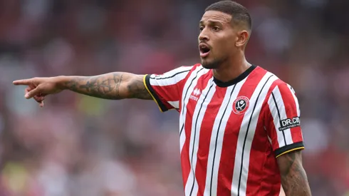 Vinicius Souza of Sheffield United gestures during the Sky Bet Championship match between Sheffield United FC and Watford FC at Bramall Lane on September 01, 2024 in Sheffield, England.